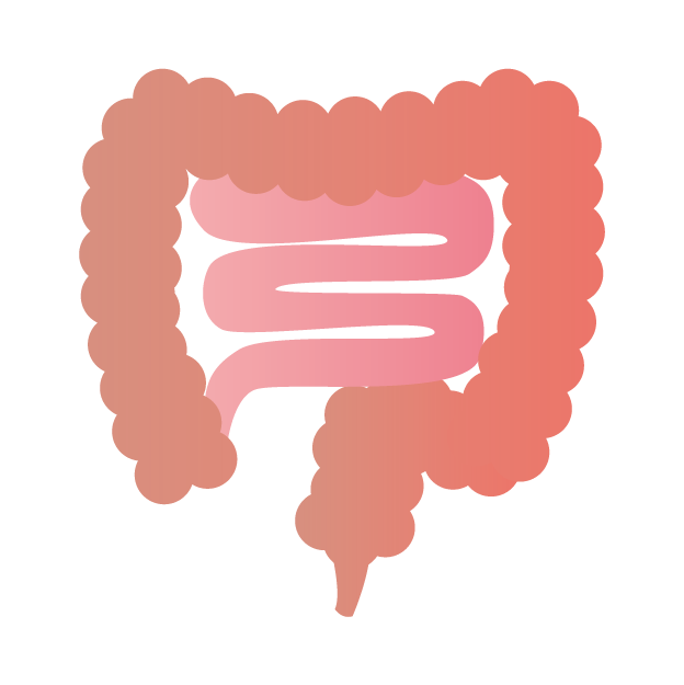 画像名