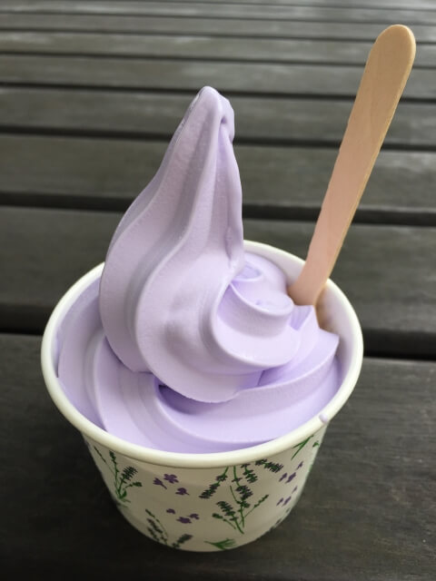 ラベンダー